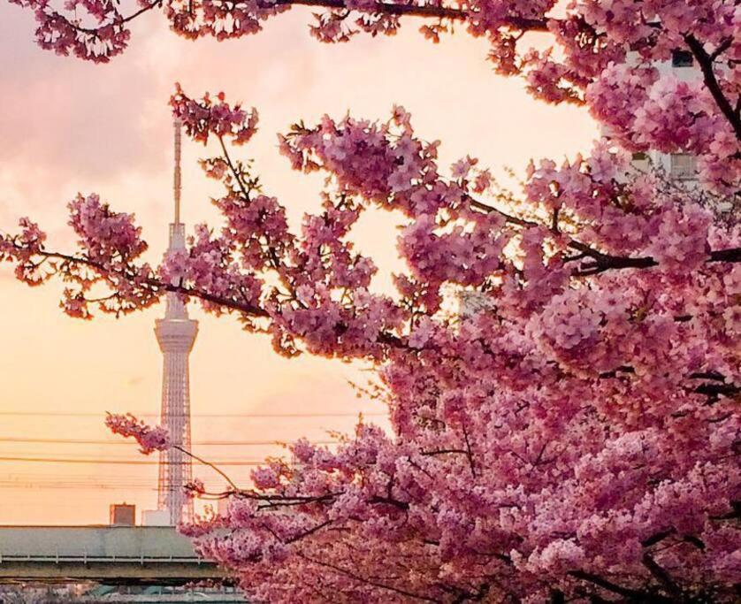 5Mins From Jr Kinshicho! Near Asakusa&Skytree! 도쿄 외부 사진
